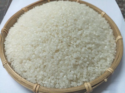 Gạo Nhật Japonica Tròn